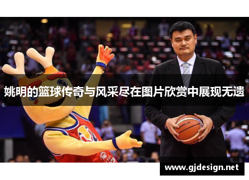 姚明的篮球传奇与风采尽在图片欣赏中展现无遗